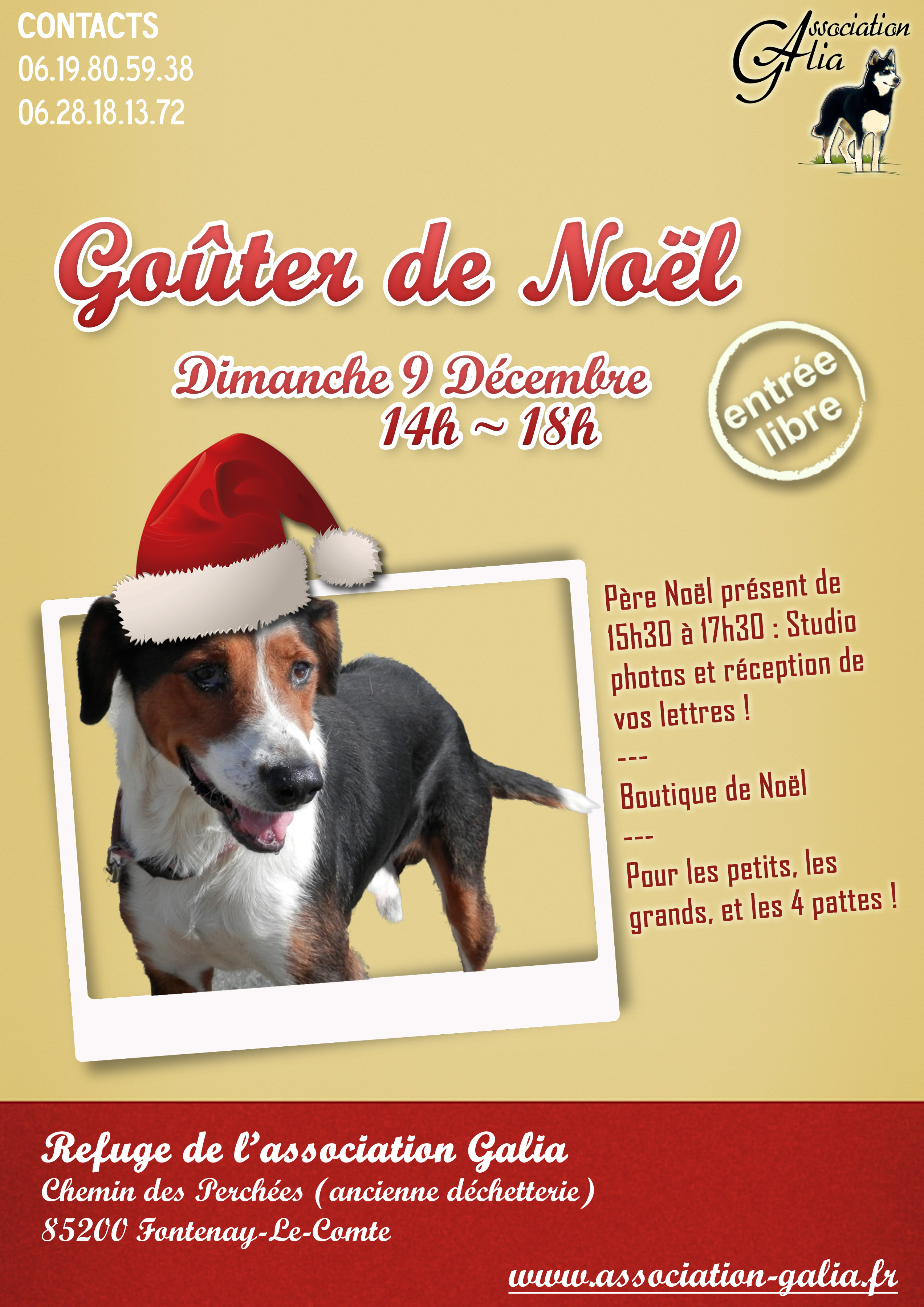 Affiche Goûter Noël association Galia