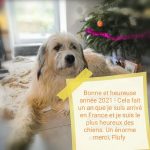 Association Galia • Flufy