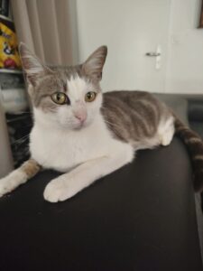 SALSA (née le 16/05/2025)